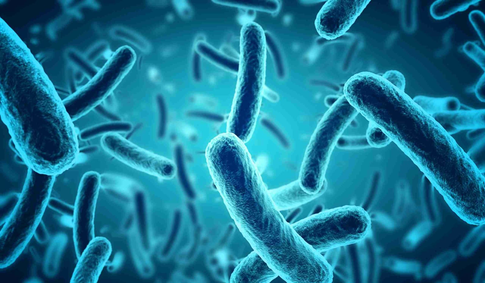 3D illustration of rod-shaped bacteria, representing the microbes that cause prosthetic joint infection.