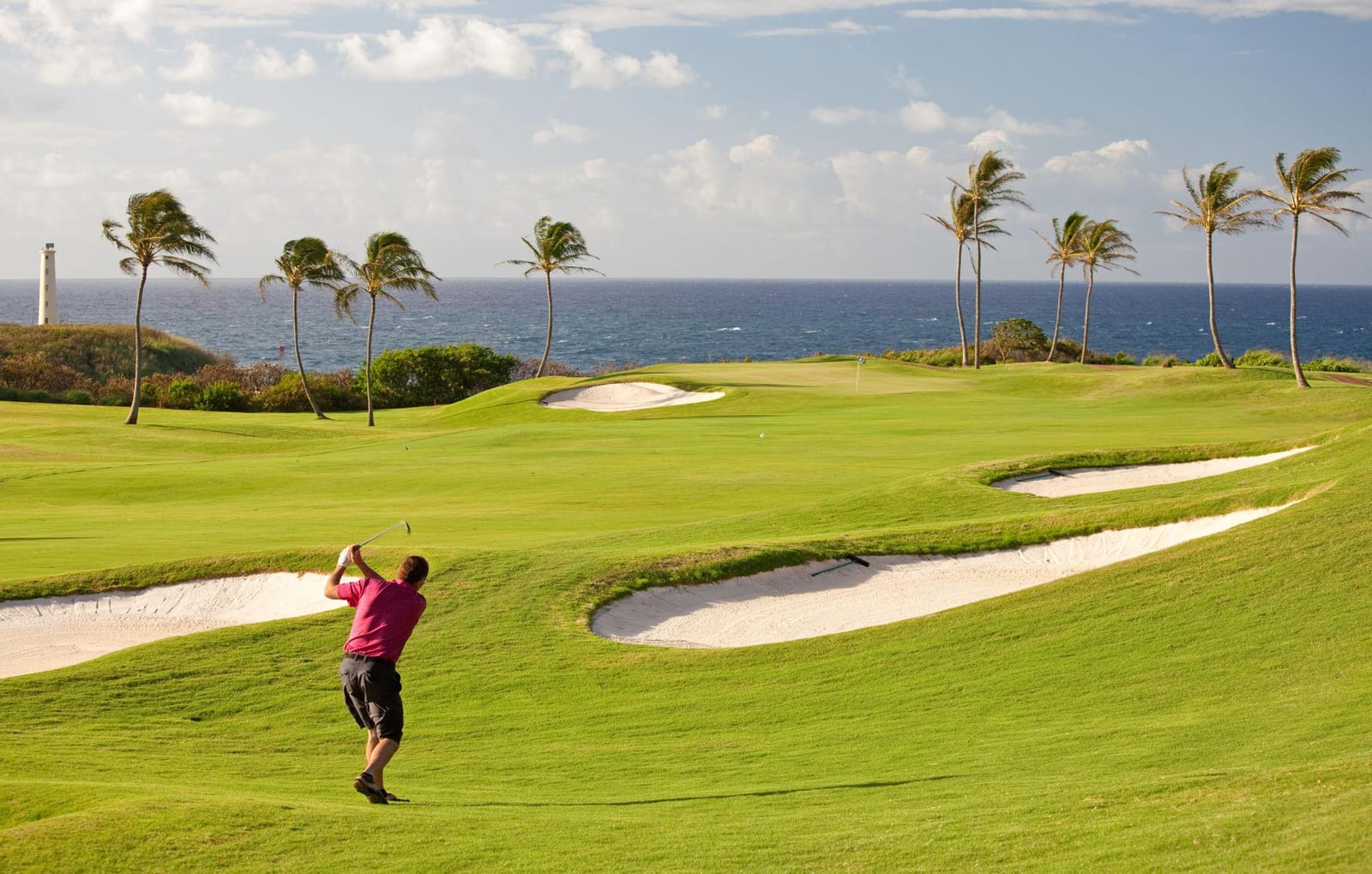 Golfer swinging on an oceanfront Hawai'i golf course lined with palm trees and a lighthouse in the distance.