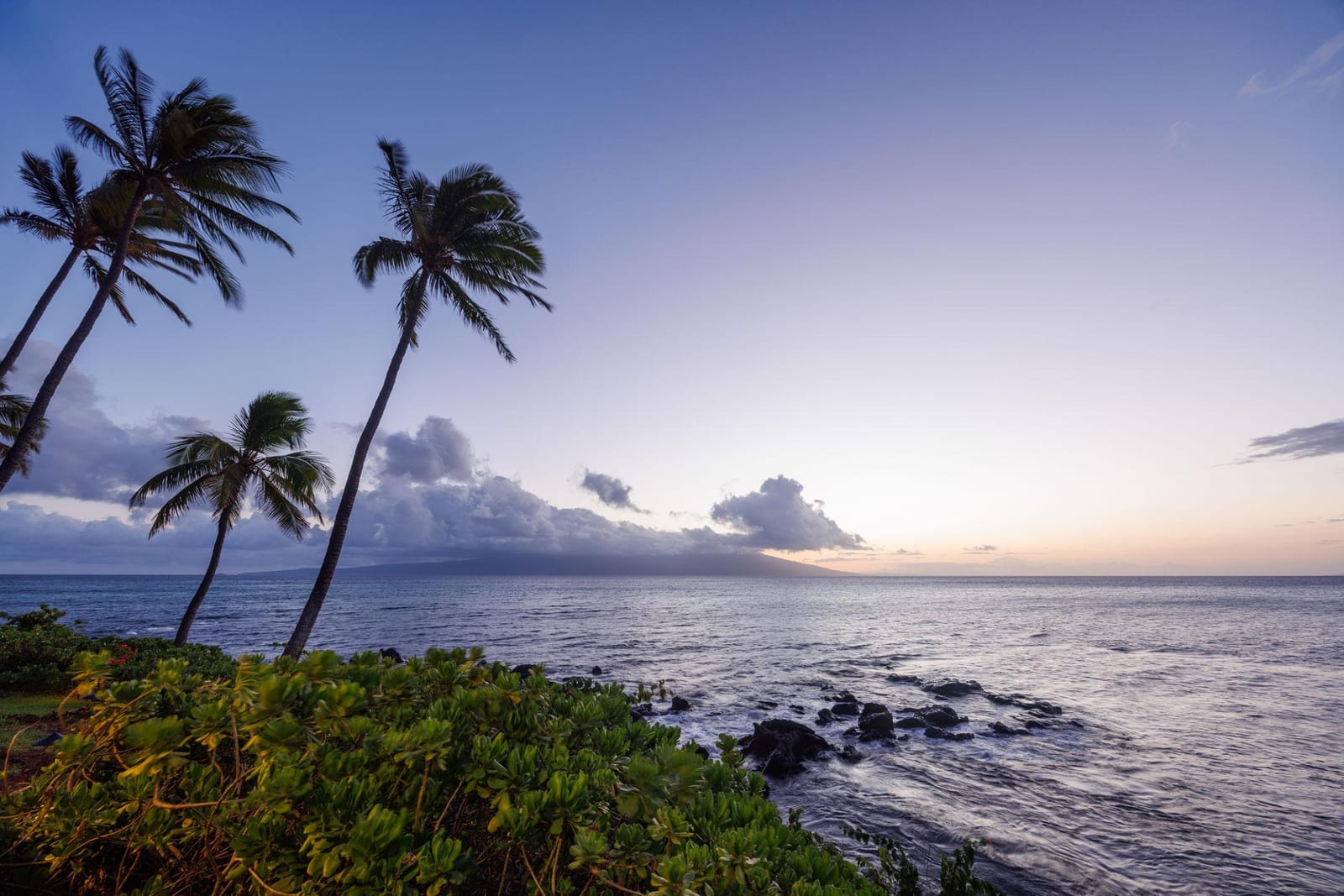 Palm trees leaning over a rocky Hawai'i shoreline at sunset with an island on the horizon.