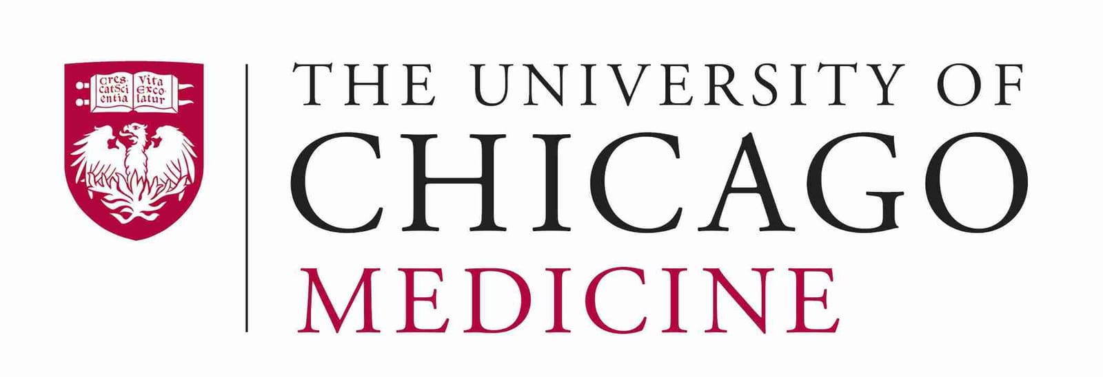 University of Chicago Medicine — adult reconstruction fellowship
